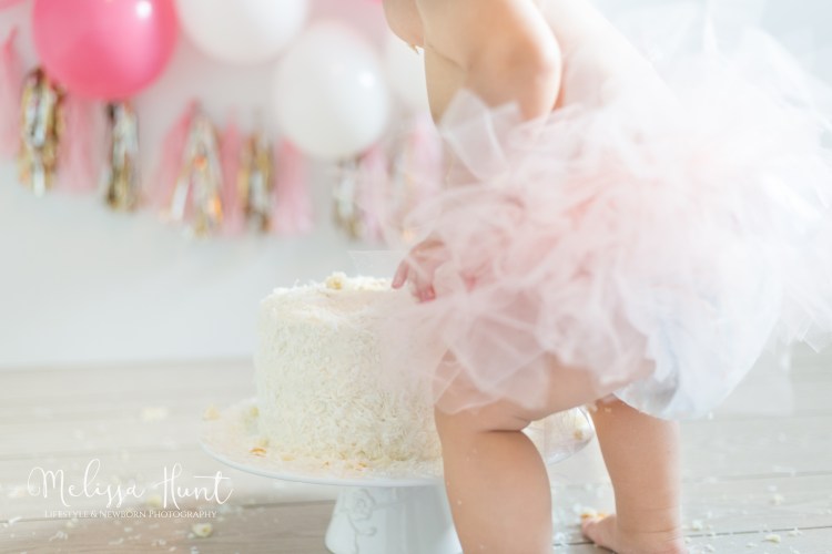 Charlie Cake Smash-2.jpg